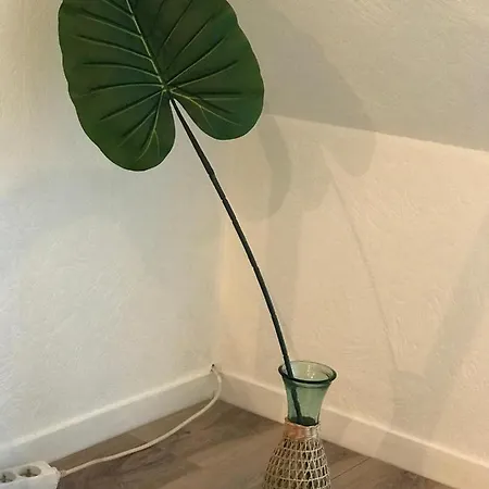 Chez Edwige A Thalasso Wifi Apartment Cabourg