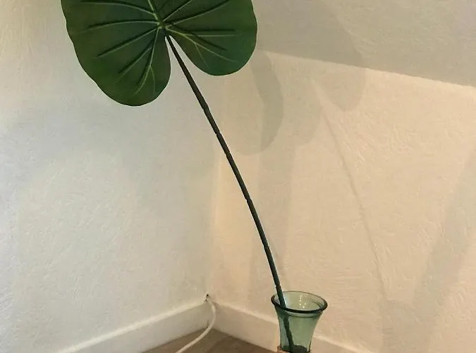 Chez Edwige A Thalasso Wifi Apartment Cabourg